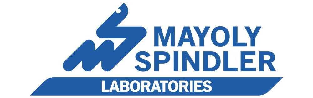 MAYOLY SPINDLER