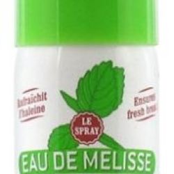 Eau de Mélisse des Carmes Boyer spray 15ml