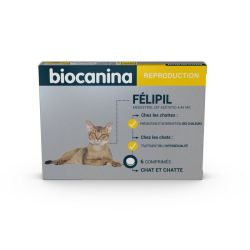 Félipil 6 comprimés