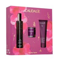 COFFRET Thé des Vignes 2025