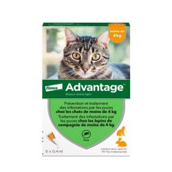 Advantage-40 Chat/lapin 6 Pipettes