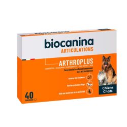 Arthroplus 40 comprimés
