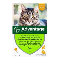 Advantage chats & lapins -4kg 6 pipettes