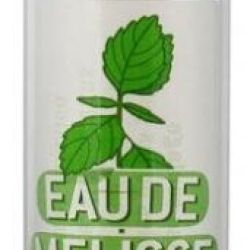 Eau de Mélisse des Carmes Boyer Double 10cl