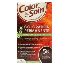 Color & Soin coloration permanente 5B marron chocolat