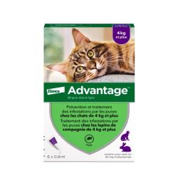 Advantage-80 Pipettes Chat/Lapin x6