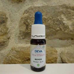 DEVA Noyer BIO s/alcool 30ml