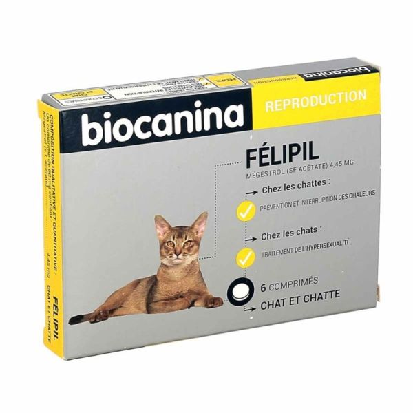 Biocanina Felipil Cpr 6