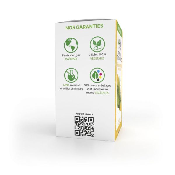 Arkogélules prostate débit urinaire palmier de Floride 45 gélules