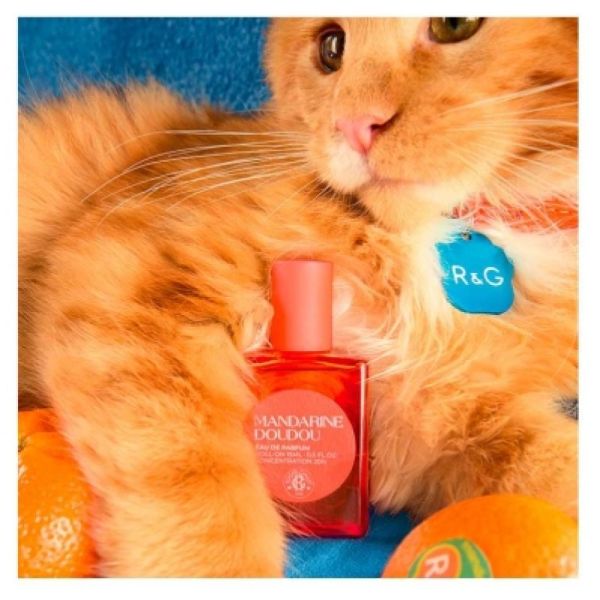 Roger Gallet eau de parfum Mandarine doudou 15ml