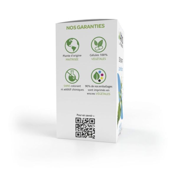 Arkogélules lamier blanc 45 gélules