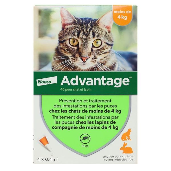 Advantage chats & lapins -4kg 4 pipettes