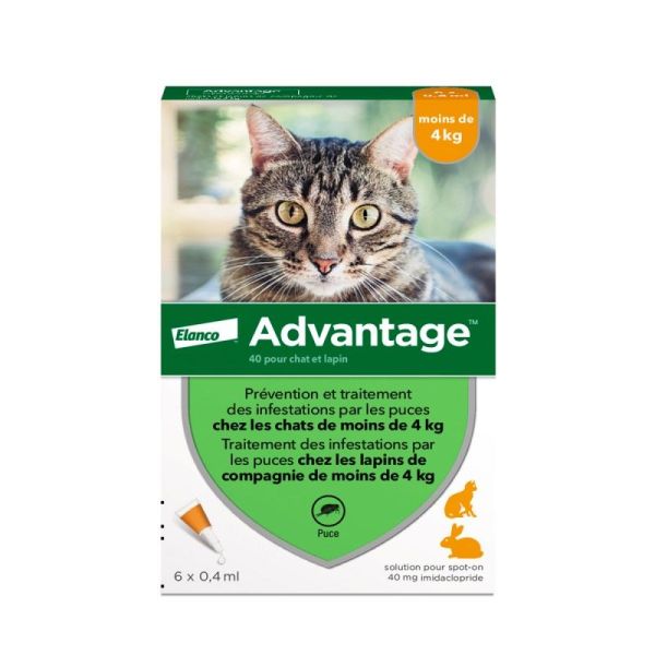 Advantage-40 Chat/lapin 6 Pipettes