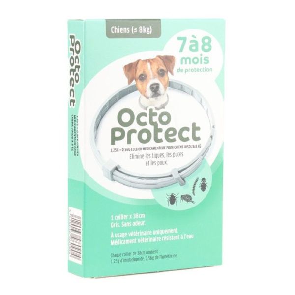 Octo Protect Collier anti-puce petit chien