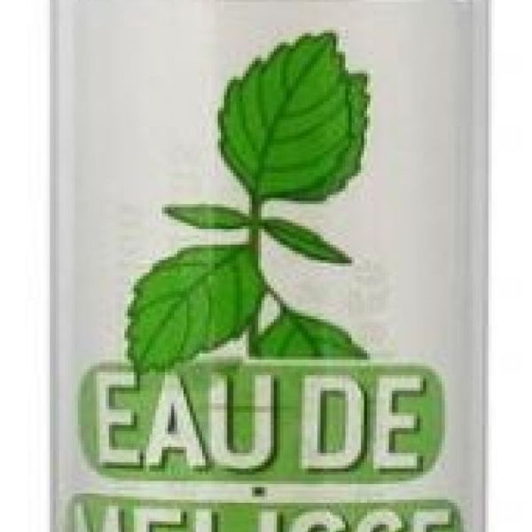 Eau de Mélisse des Carmes Boyer Double 10cl