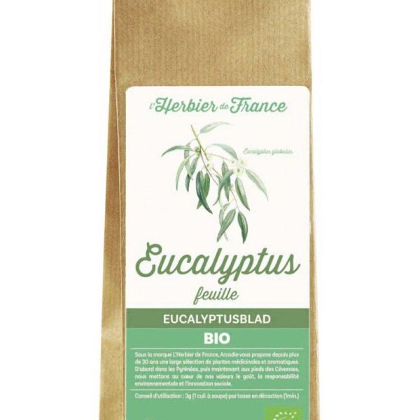 EUCALYPTUS FEUILLES HERBIER DE FRANCE