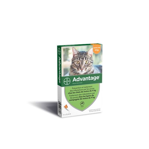 Advantage-40 Anti Puces Chats/Lapins Pipettes