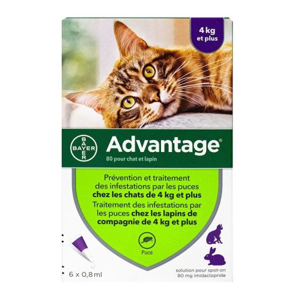 Advantage chats & lapins +4kg 6 pipettes